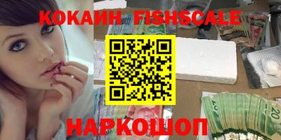 твердый Кингисепп