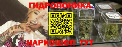 твердый Кингисепп