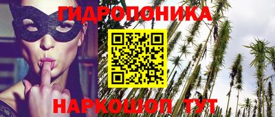 ПСИЛОЦИБИНОВЫЕ ГРИБЫ Кинель