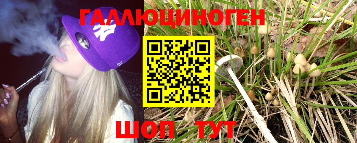 Псилоцибиновые грибы ЛСД  Галлюциногенные грибы Psilocybe  купить наркоту  Кропоткин  Вход с VPN 