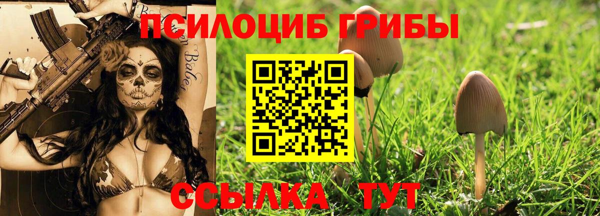 Псилоцибиновые грибы Cubensis Кропоткин